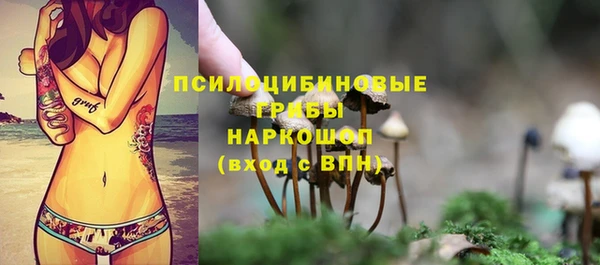 хмурый Верея