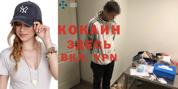хмурый Верея