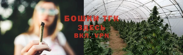 хмурый Верея