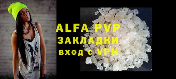 хмурый Верея