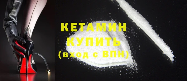хмурый Верея