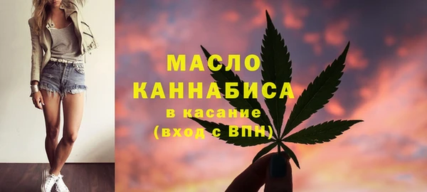 хмурый Верея