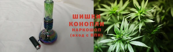 хмурый Верея