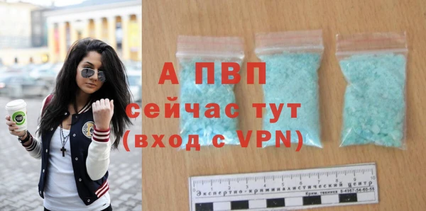 хмурый Верея