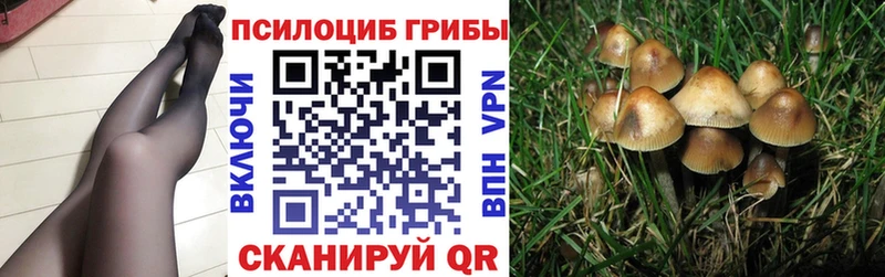 Псилоцибиновые грибы GOLDEN TEACHER Калуга